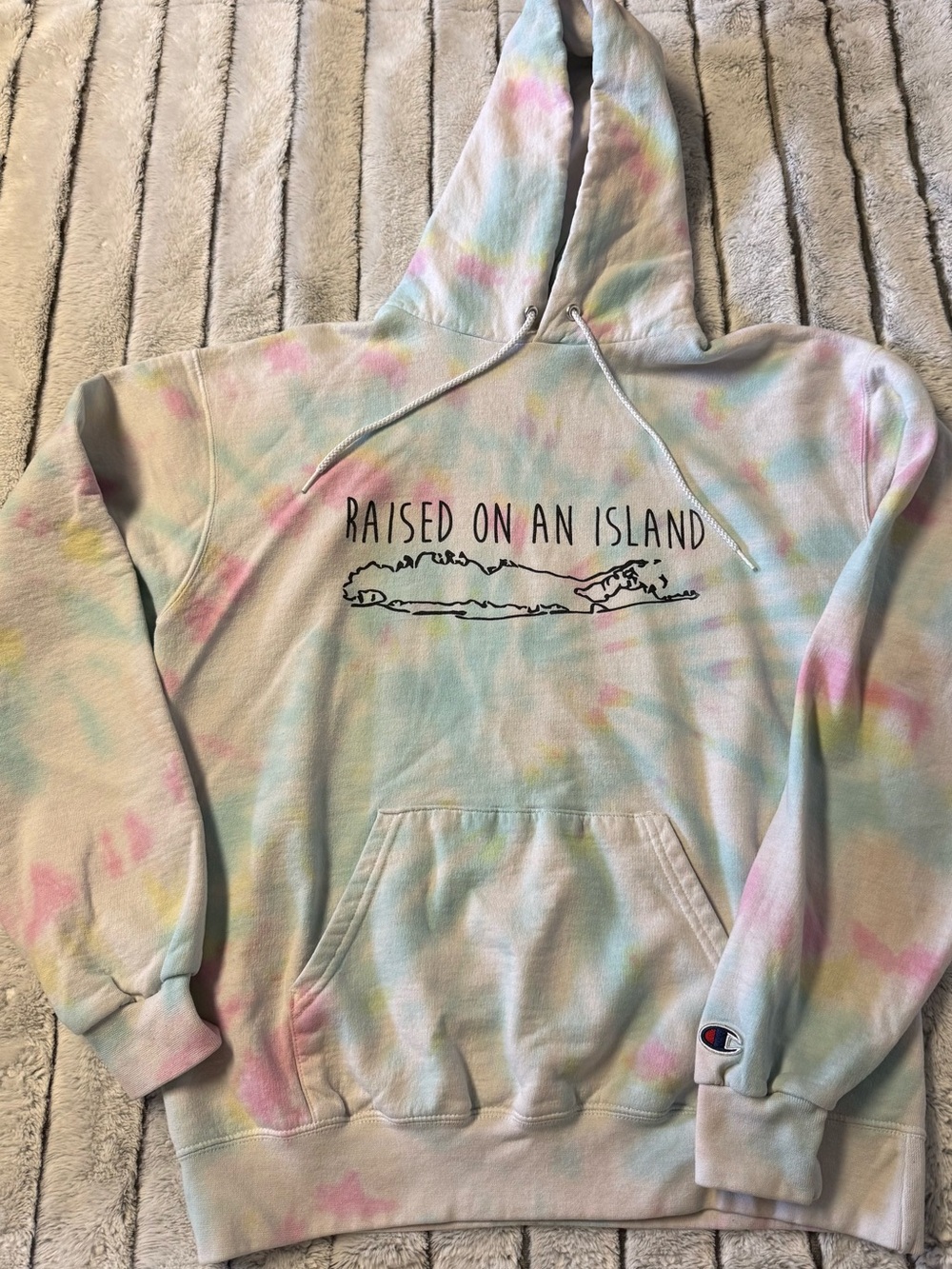Champion Eco Pastel Green Hooded Sweatshirt
